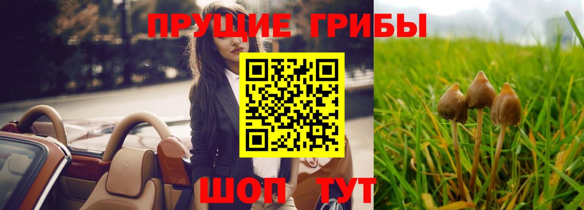 Галлюциногенные грибы MAGIC MUSHROOMS  Псилоцибиновые грибы мицелий  Вход с VPN  купить закладку  Кудрово 